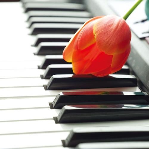 呼和浩特艺术培训 呼和浩特艺术培训